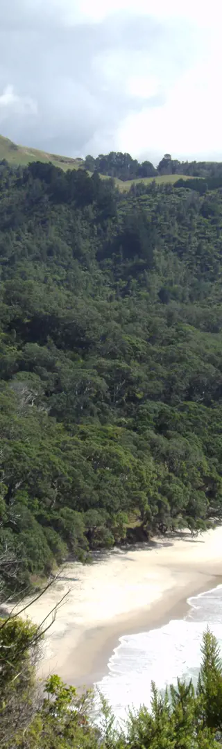 An der Küste der Coromandel Peninsula